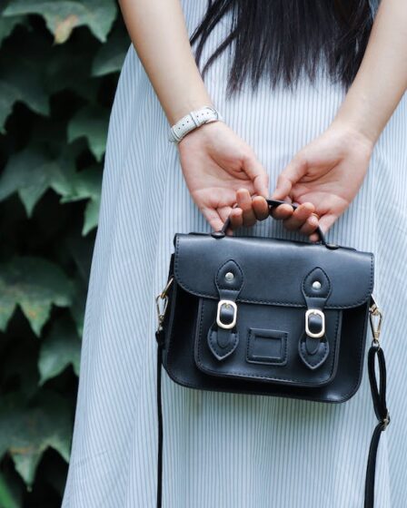 Handbag