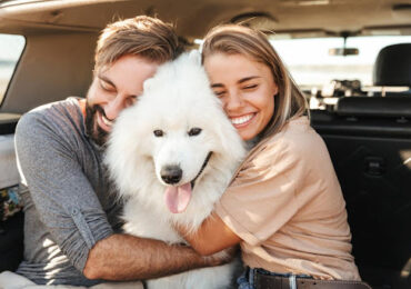 9 Best Gifts for Animal Lovers